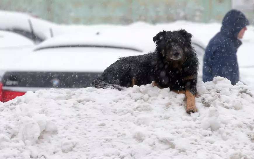 Record de zăpadă în Moscova. Nu a mai nins niciodată atât de mult în capitala Rusiei
