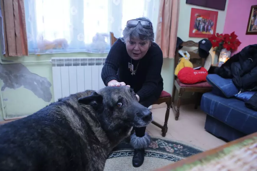 VIDEO/Acasă la Anca Pandrea, o viața printre fotografii și-n compania unui câine bătrân: ”Dacă-i zic de Iura, i se umezesc ochii”