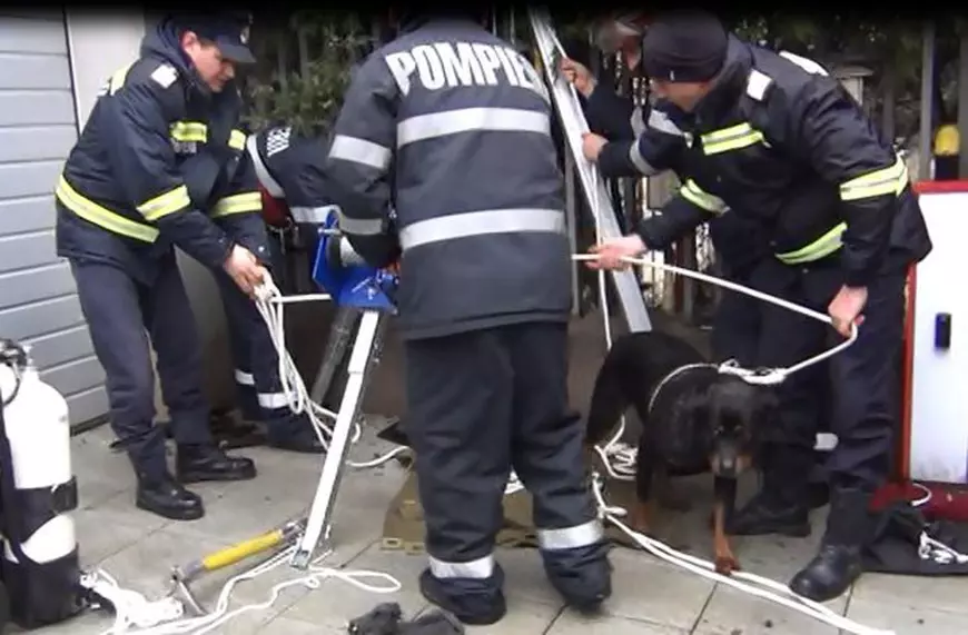 Pompierii vâlceni au salvat un Rottweiler dintr-un puț îngust. Salvatorul a coborât peste opt metri în puț