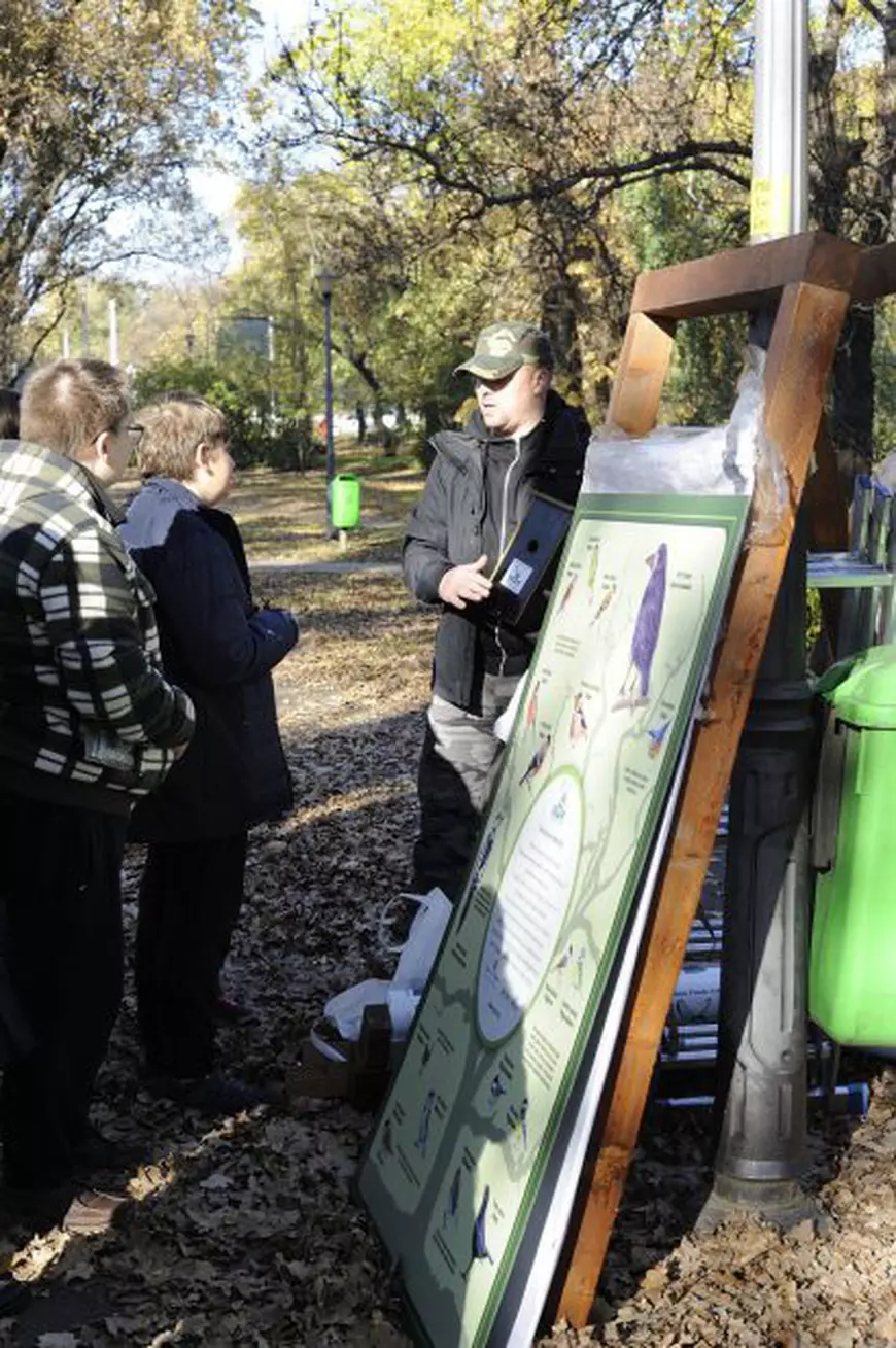 Ornitologii români avertizează: ”Nu le mai dați pâine păsărilor sălbatice! Le poate omorî!”