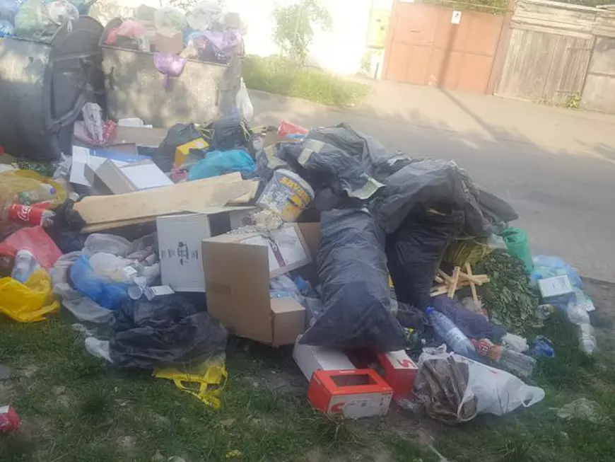 ANCHETĂ: Curățenia în Arad și Timișoara, motiv de scandal. Primarii au pus tunurile pe societatea de salubritate Retim