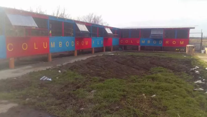 Florentin Dumitru și-a făcut columbodrom în culorile Stelei. Cât costă înscrierea la concursuri