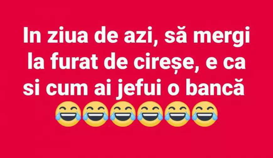 Sa furi cireșe, în ziua de azi, este ca și cum ai jefui o bancă (Glumă))
