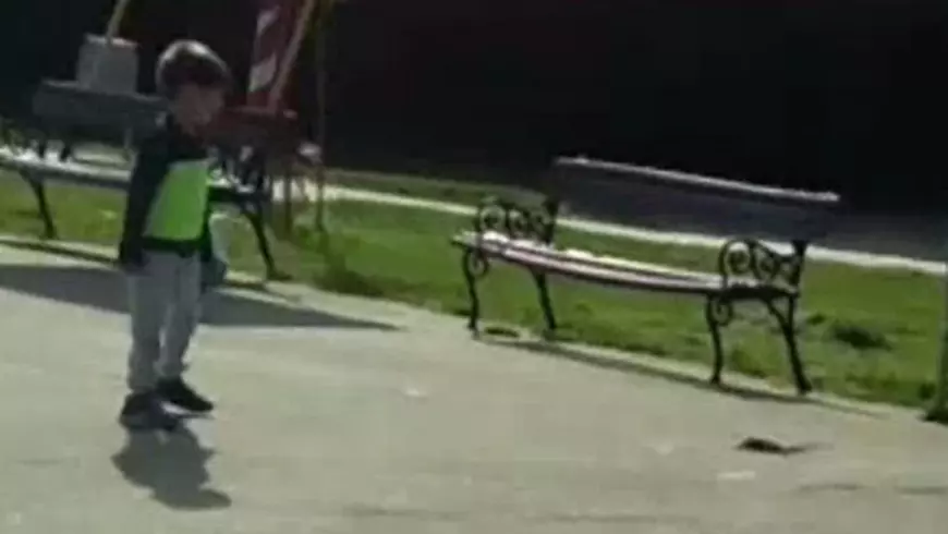 VIDEO/ Un șarpe apărut din iarbă a creat panică la un loc de joacă pentru copii din Constanța