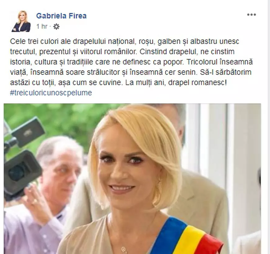 Gabriela Firea crede că tricolorul este compus din roșu, galben și albastru