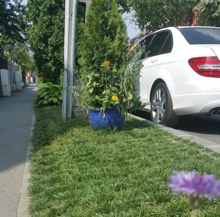 Timișoreni amendați de Poliția Locală pentru că au amenajat spațiul din fața blocului. Polițiștii au considerat că e parcare ecologică