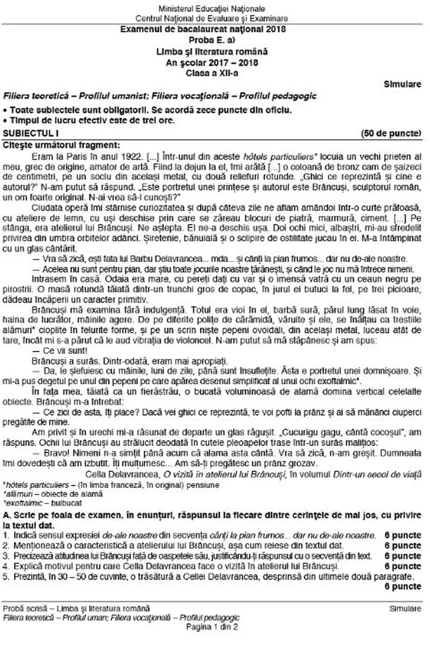 BACALAUREAT 2018 la Limba și literatura română. Absolvenții de clasa a XII-a au dat primul examen scris / UPDATE