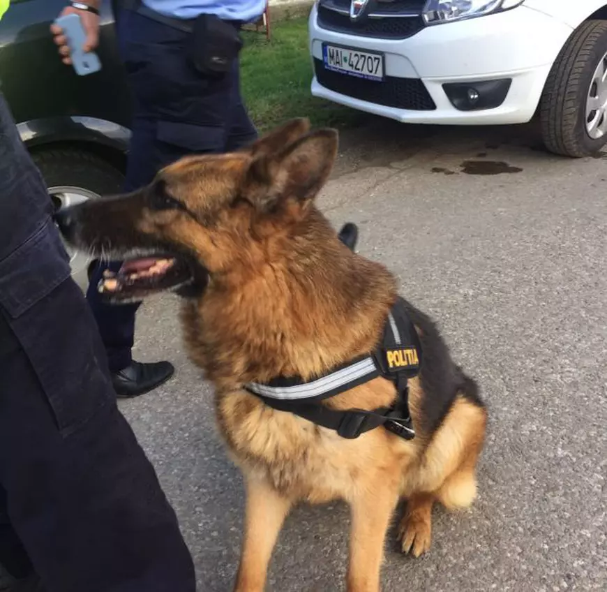 UPDATE/ Copilul de șapte ani cu autism, dispărut în Vrancea, a fost găsit. Mama lui se odihnea după înmormântarea fiicei/FOTO