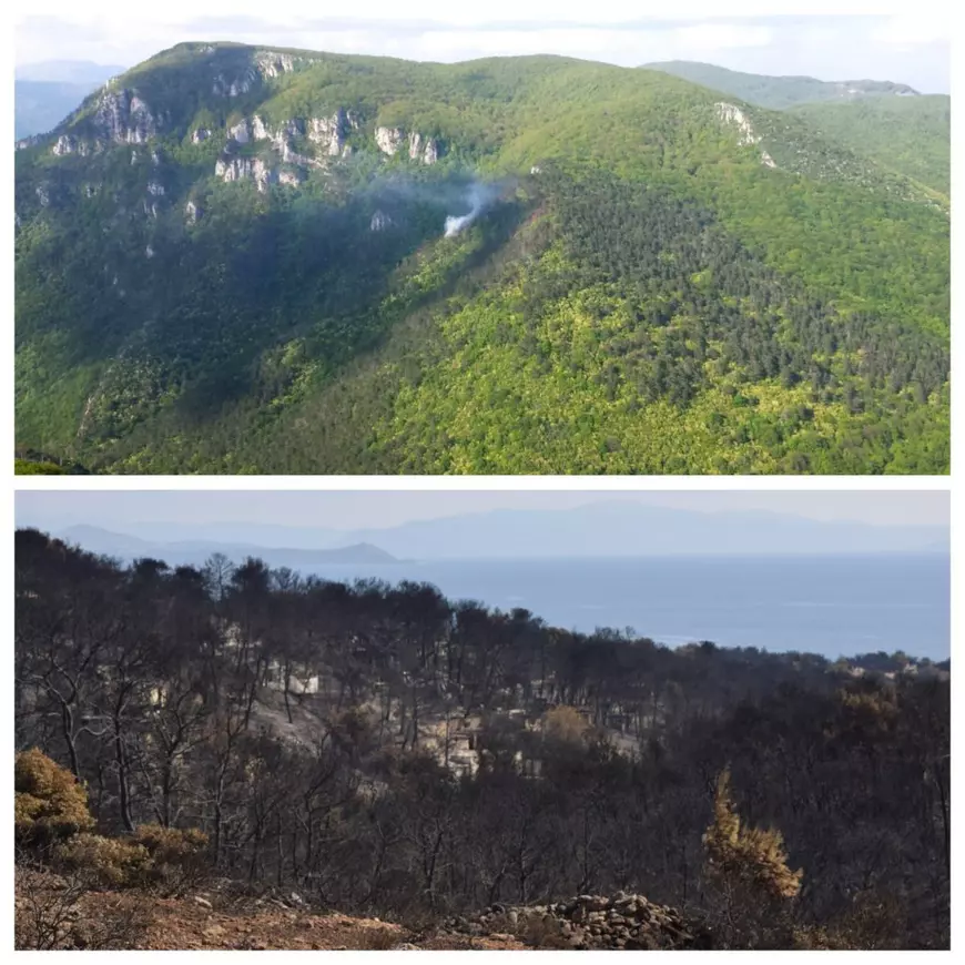 Lecția elenă. Catastrofa din Grecia s-ar putea repeta și în România. 15.000 de incendii de vegetație în țara noastră