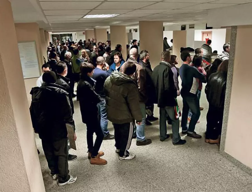 (P) Viva Auto, partenerul tău atunci când ai nevoie de înmatriculări auto!
