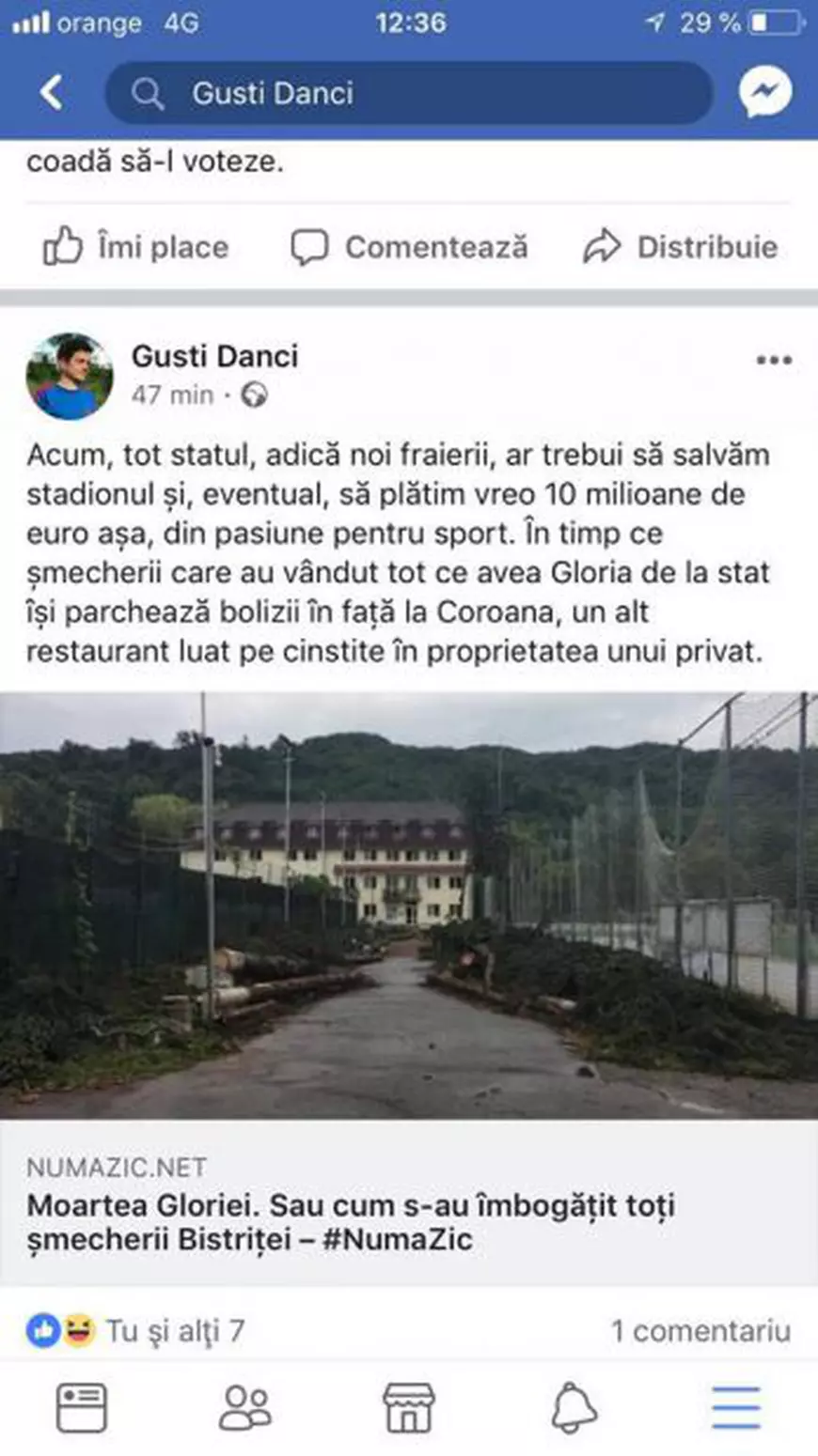 Brazi puși la pământ la stadionul ”Jean Pădureanu” din Bistrița. Cum arăta zona, cu o zi înaintea tăierilor / FOTO ÎN ARTICOL