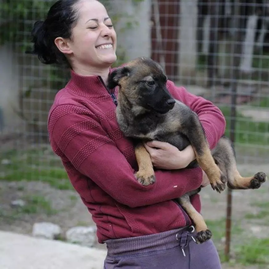 REPORTAJ: A fost manager de vânzări, dar acum salvează câini vagabonzi. Deși a devenit recent mămică, Delia Botea nu vrea să-i abandoneze