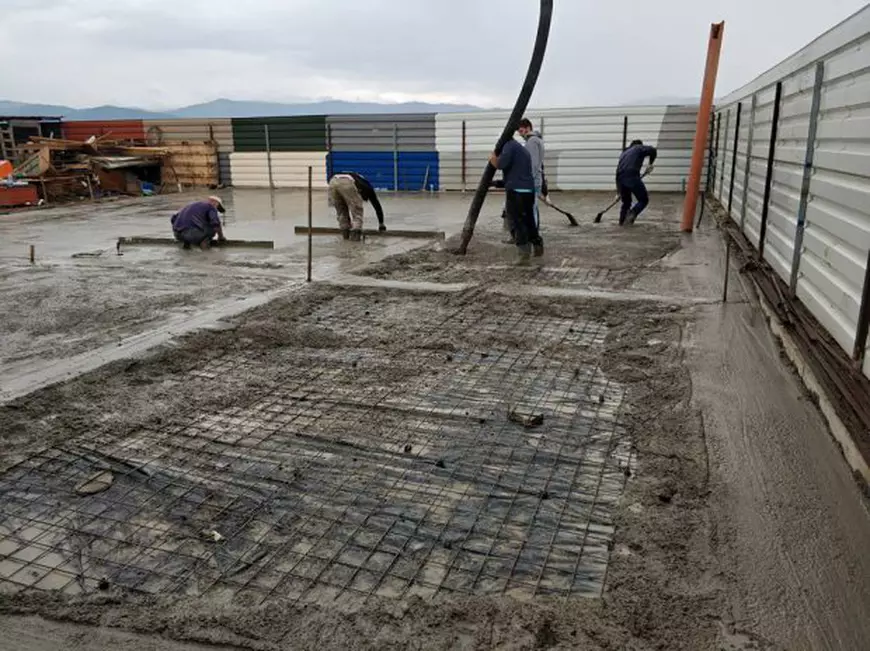 REPORTAJ: A fost manager de vânzări, dar acum salvează câini vagabonzi. Deși a devenit recent mămică, Delia Botea nu vrea să-i abandoneze