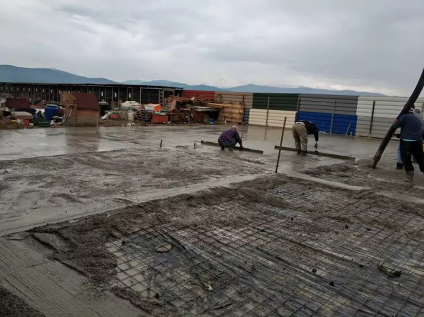 REPORTAJ: A fost manager de vânzări, dar acum salvează câini vagabonzi. Deși a devenit recent mămică, Delia Botea nu vrea să-i abandoneze