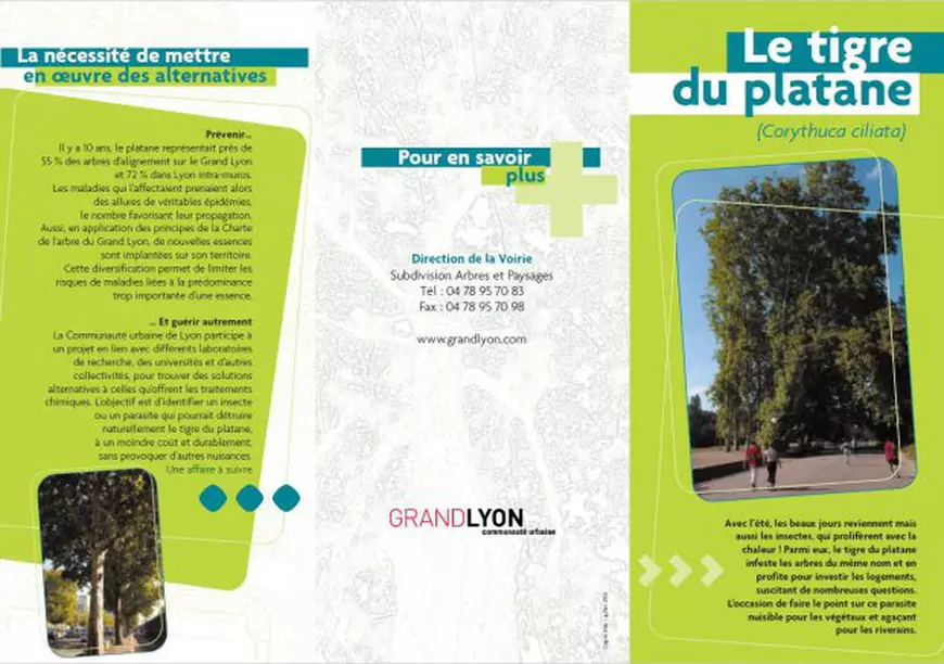 Broşură de informare cu privire la invazia tigrilor de platan tipărită de administraţia locală din Lyon.