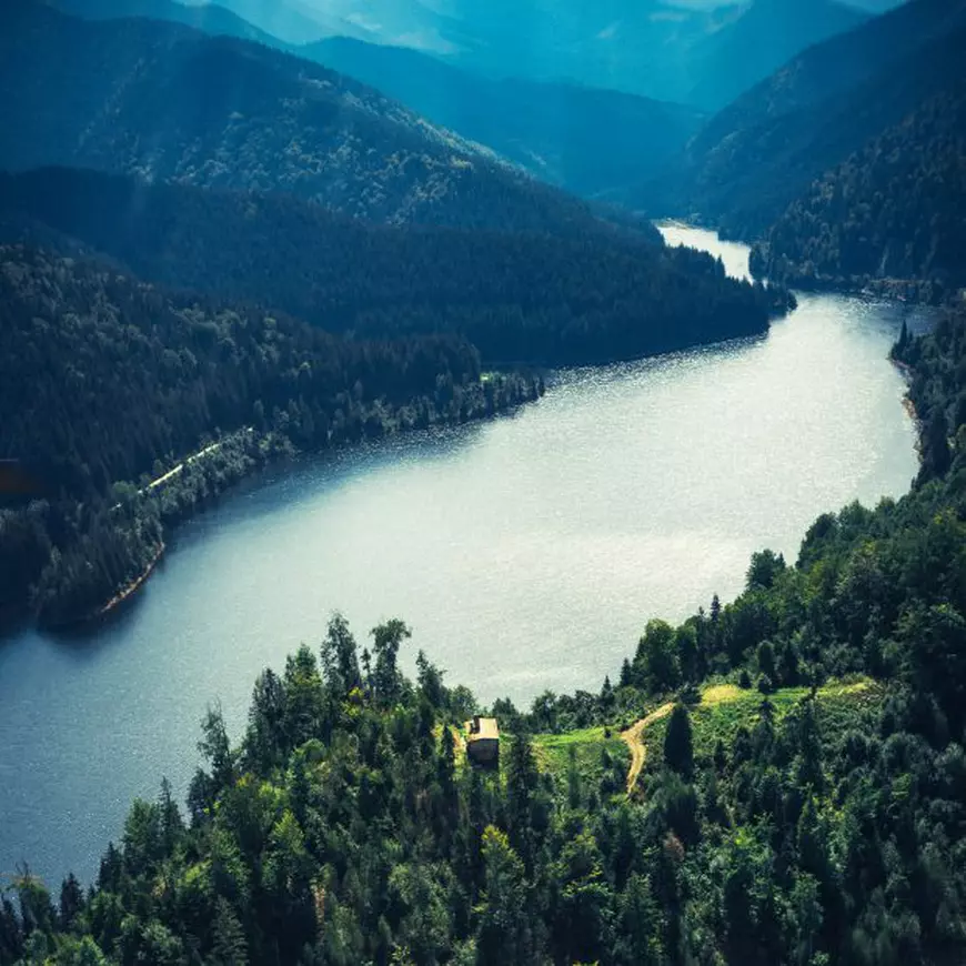 VIDEO/Yellowstone de România. Străinii care ne reîmpăduresc țara pentru că avem ceva unic. ”Pădurea nu e doar un ansamblu de cherestea”