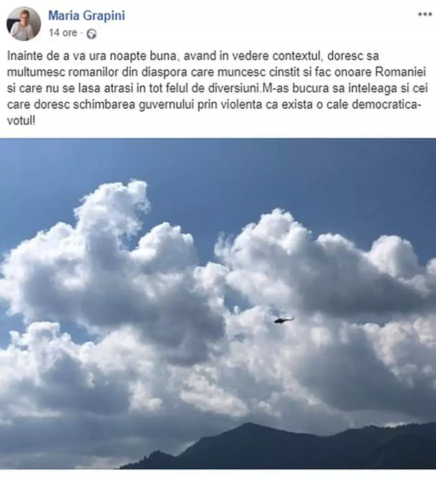 Mesajul Mariei Grapini pentru românii din diaspora după ștergerea celui jignitor (foto Facebook)