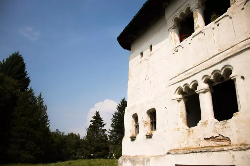 Pictura Olgăi Greceanu, urmaşa Măldăreştilor