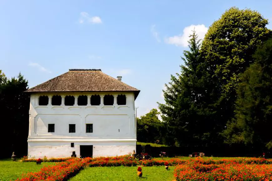 Pictura Olgăi Greceanu, urmaşa Măldăreştilor