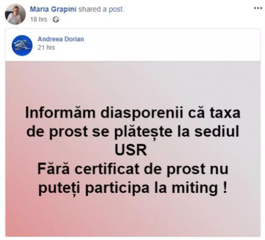 Mesaj preluat de Maria Grapini pe pagina ei de Facebook (captură foto Facebook)