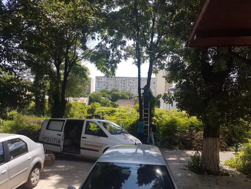 EXCLUSIV/ Verdict groaznic al legiștilor: pacienta a murit de foame, singură și speriată în bălăriile din curtea spitalului administrat de Primăria Capitalei