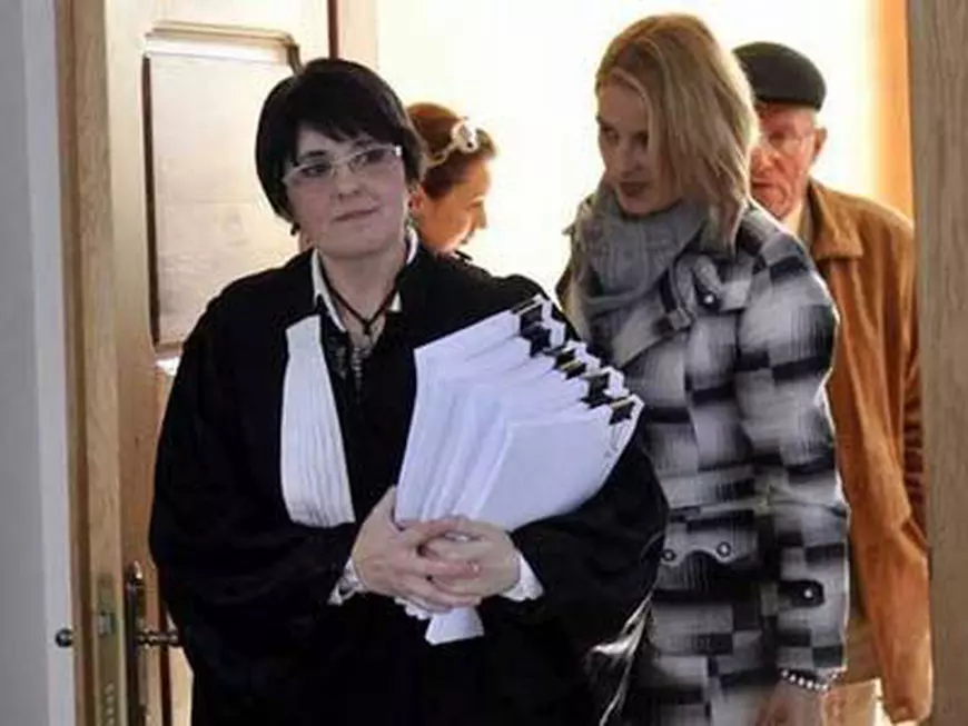 Avocata lui Liviu Dragnea este dispusă să-l apere chiar pe șoferul care și-a pus numerele cu M**E PSD