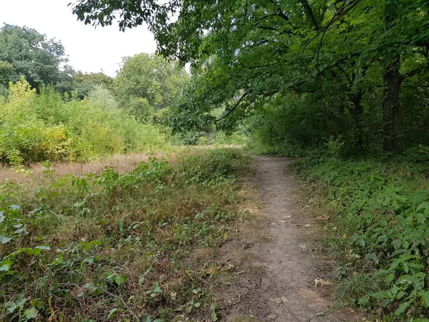 Aici sunt banii dumneavoastră! 50 milioane de euro pentru o junglă: Parcul Verdi, plin de gunoaie, achiziția controversată a Primăriei Capitalei