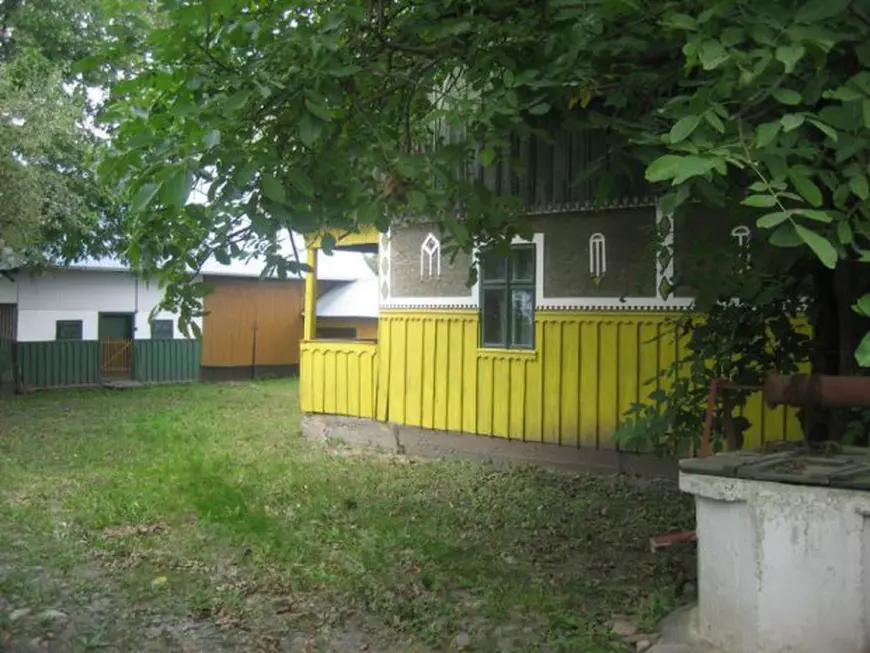 Cum arăta casa părintească a Laurei Lavric, înainte să fie mistuită de flăcări