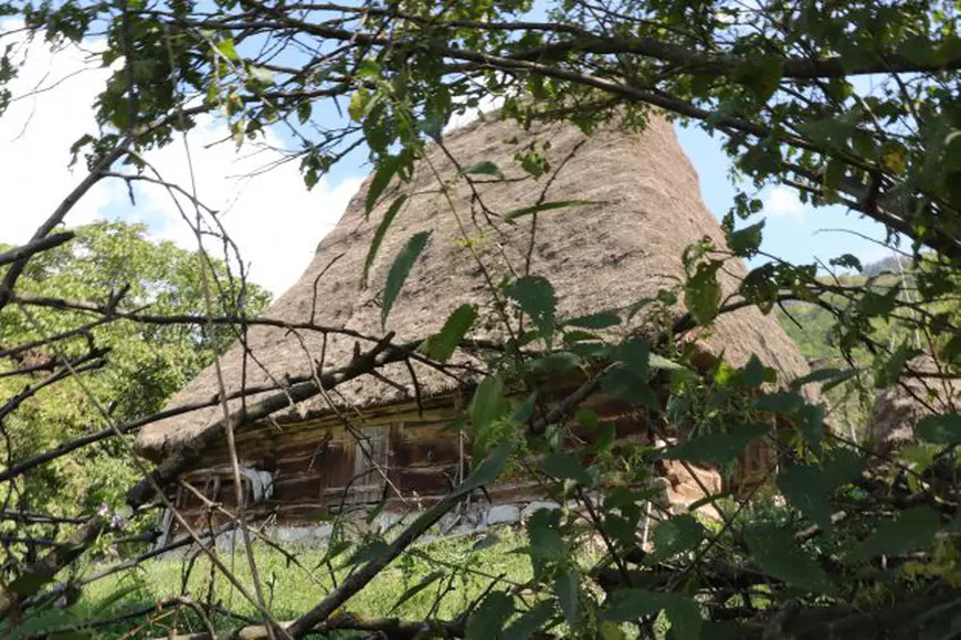 Arta construirii acoperişurilor din paie, pe cale să dispară