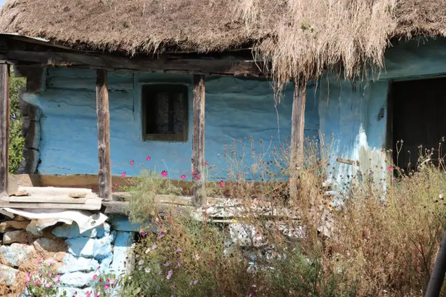 Arta construirii acoperişurilor din paie, pe cale să dispară