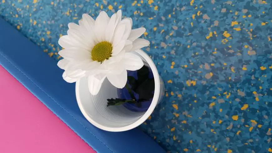 Cum să înveți la universitate de la 3 ani. Locul în care pot fi creați vulcani, florile albe devin albastre, iar telefonul mobil este interzis