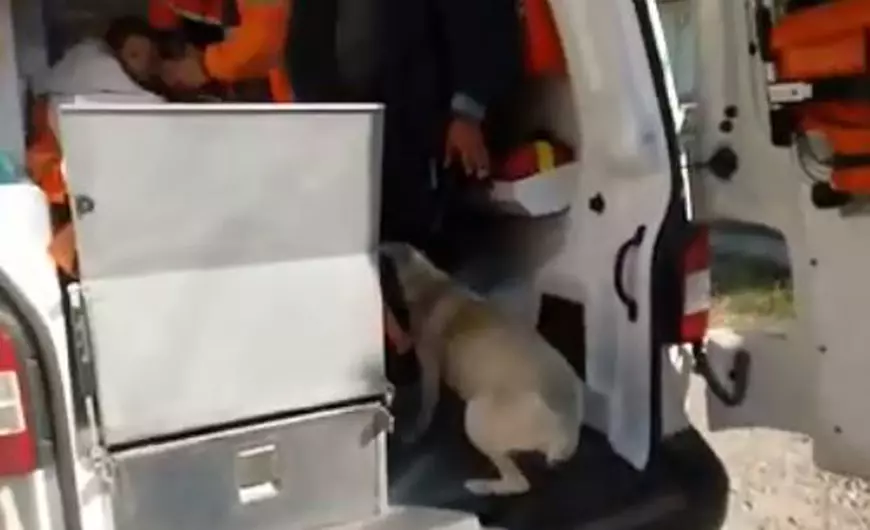 Cățelușa a sărit după băiețel în mașina ambulanței (captură foto digi24)