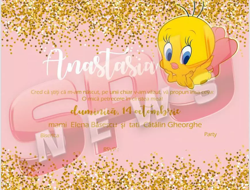 Elena Băsescu își botează fetița pe 14 octombrie. Cum arată invitația