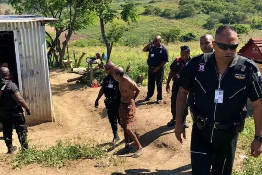 O femeie și-a auzit pisica țipând. Când a văzut ce i se întâmplă, a înlemnit