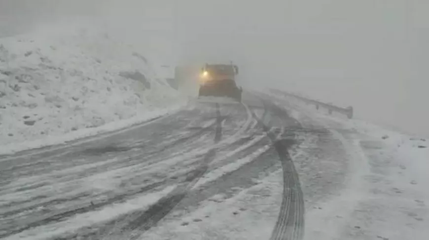 Ninsorile și vântul fac prăpăd în țară. Un om a murit după ce un copac a căzut peste el