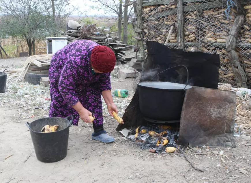Există viață după pestă: Crăciun cu iepuri și gogoșari! Reporterii Libertatea s-au întors, după trei luni, în satul Luciu din județul Ialomița