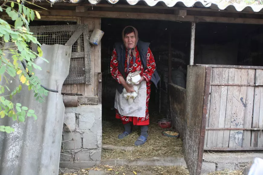 Există viață după pestă: Crăciun cu iepuri și gogoșari! Reporterii Libertatea s-au întors, după trei luni, în satul Luciu din județul Ialomița