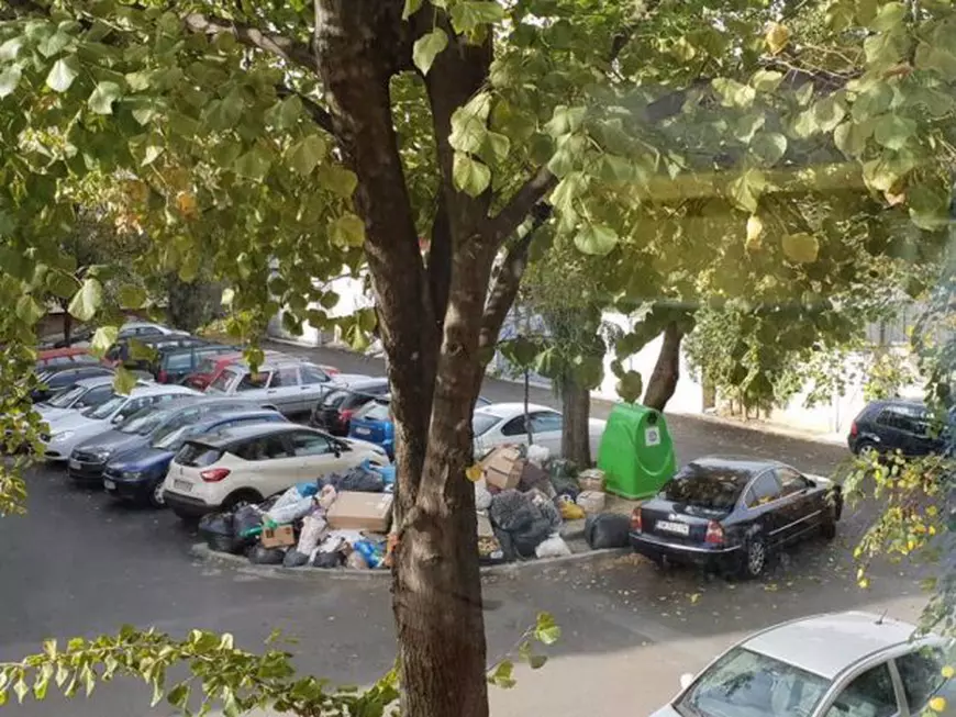FOTO/ Cum au reușit timișorenii să scape de rampele clandestine de gunoi. Soluția la care Primăria nu s-a gândit