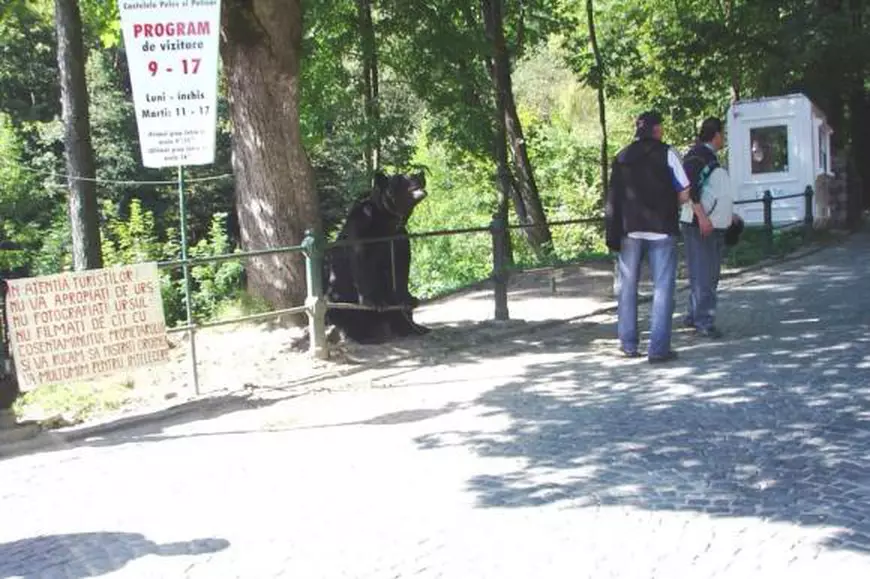 Max, pe vremea când stătea la poze lângă Castelul Peleș