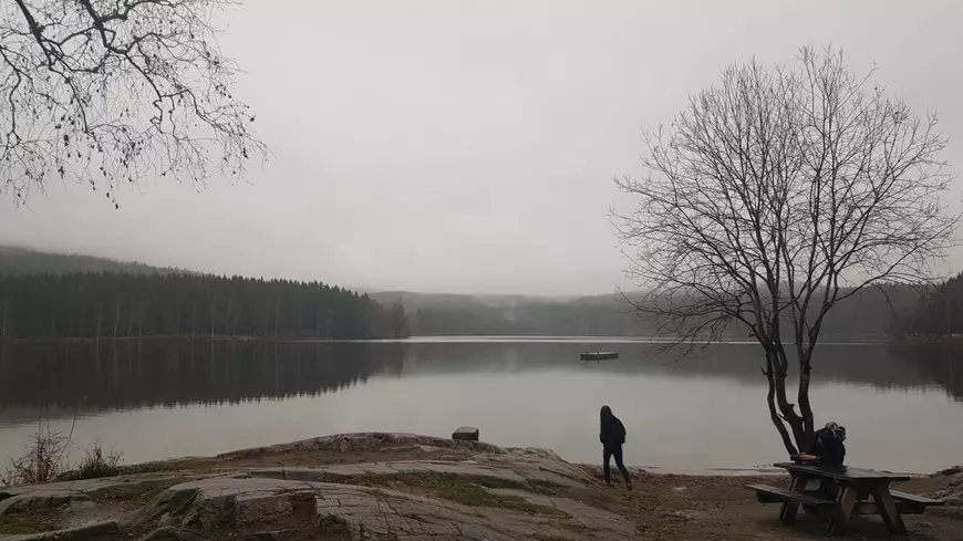 Despre norvegieni, de la români. Cum trăiesc, cum își educă copiii, cât beau, ce mănâncă. Și ce putem învăța noi înșine de la românii care conviețuiesc cu ei