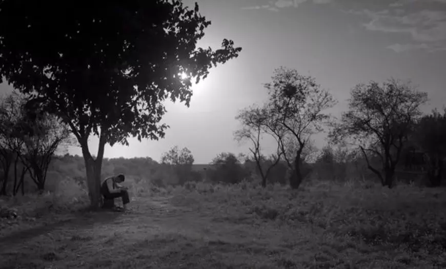 RECENZIE/ "Moromeții 2", filmul care doborât un record istoric de încasări în primul weekend. O poveste încă reprezentativă pentru România rurală