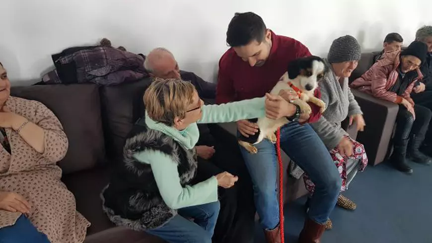 Un strop de bucurie pentru oamenii străzii. Patru căței i-au făcut pentru câteva clipe să zâmbească