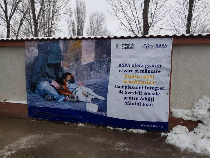 Un strop de bucurie pentru oamenii străzii. Patru căței i-au făcut pentru câteva clipe să zâmbească