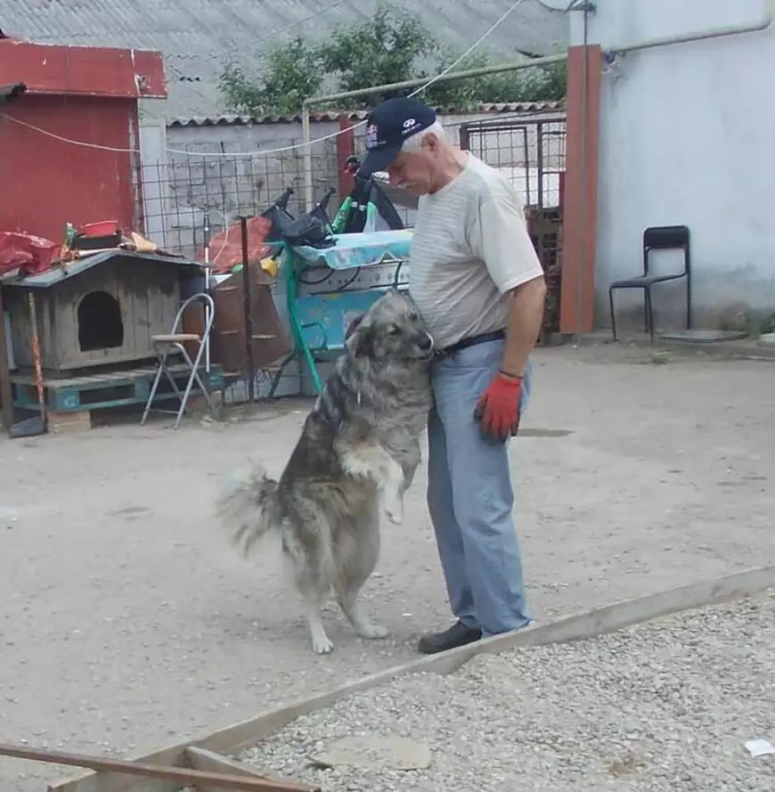 Codin Maticiuc, impresionat de povestea unui bătrân care se ocupă de un adăpost pentru animale. "Nu e înstărit și bolnav de inimă pe deasupra"