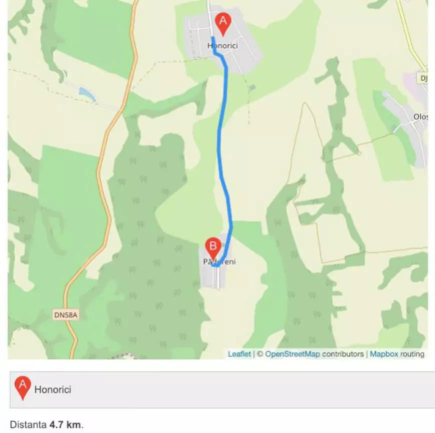 FOTO/ Copil de 5 ani salvat de pe drum, la minus 9 grade, de jandarmii din Timiș. Micuțul era dus de tată aproape cinci kilometri pe jos, în miez de noapte