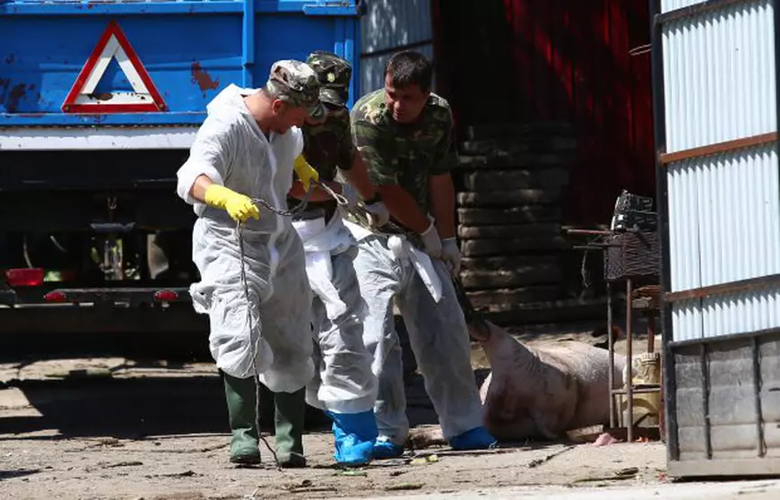 RETROSPECTIVĂ | Anul 2018, văzut prin obiectivul fotoreporterului Libertatea Vlad Chirea. Cele mai tari momente în imagini