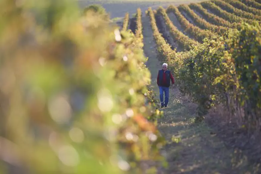 REPORTAJ EXCLUSIV / Averea lui George Țucudean, cel mai bogat fotbalist român. Bunicul său are 12 afaceri în Arad