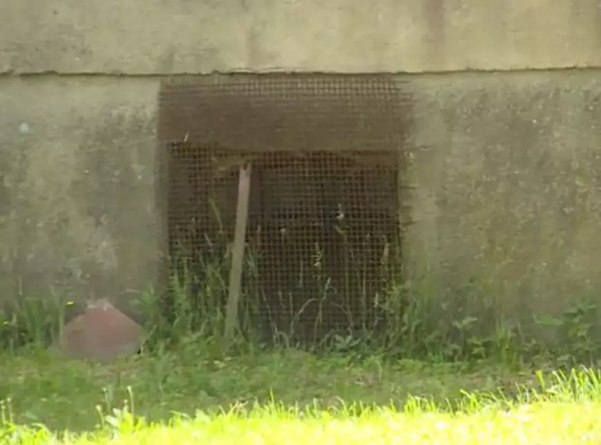 FOTO | Un bărbat și-a ținut soția în pivniță, timp de doi ani. Le-a permis altor bărbați să o violeze contra unei sume de bani