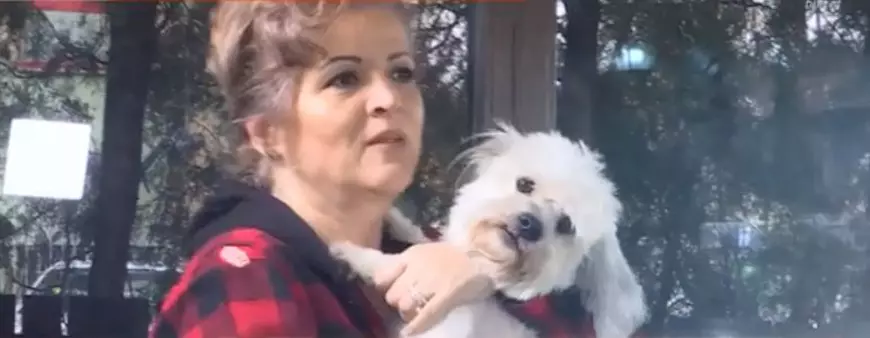 Pățania lui Carmen Rădulescu. Pe cine  a vrut să bage în frigider