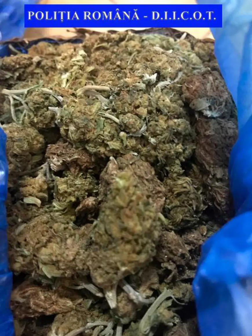 Captură de peste 3, 5 kilograme de droguri făcută de polițiștii din Vaslui. Trei bărbați au fost reținuți